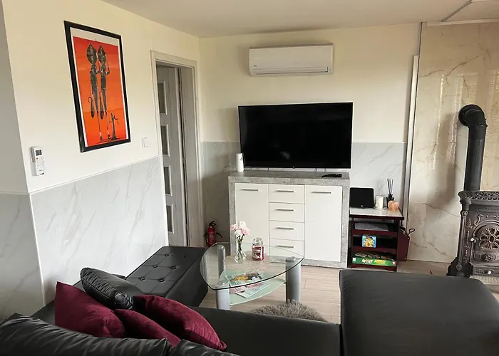 Johnys 公寓 俄斯特拉发